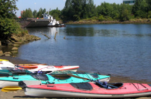 Kayaks on the Duwamish