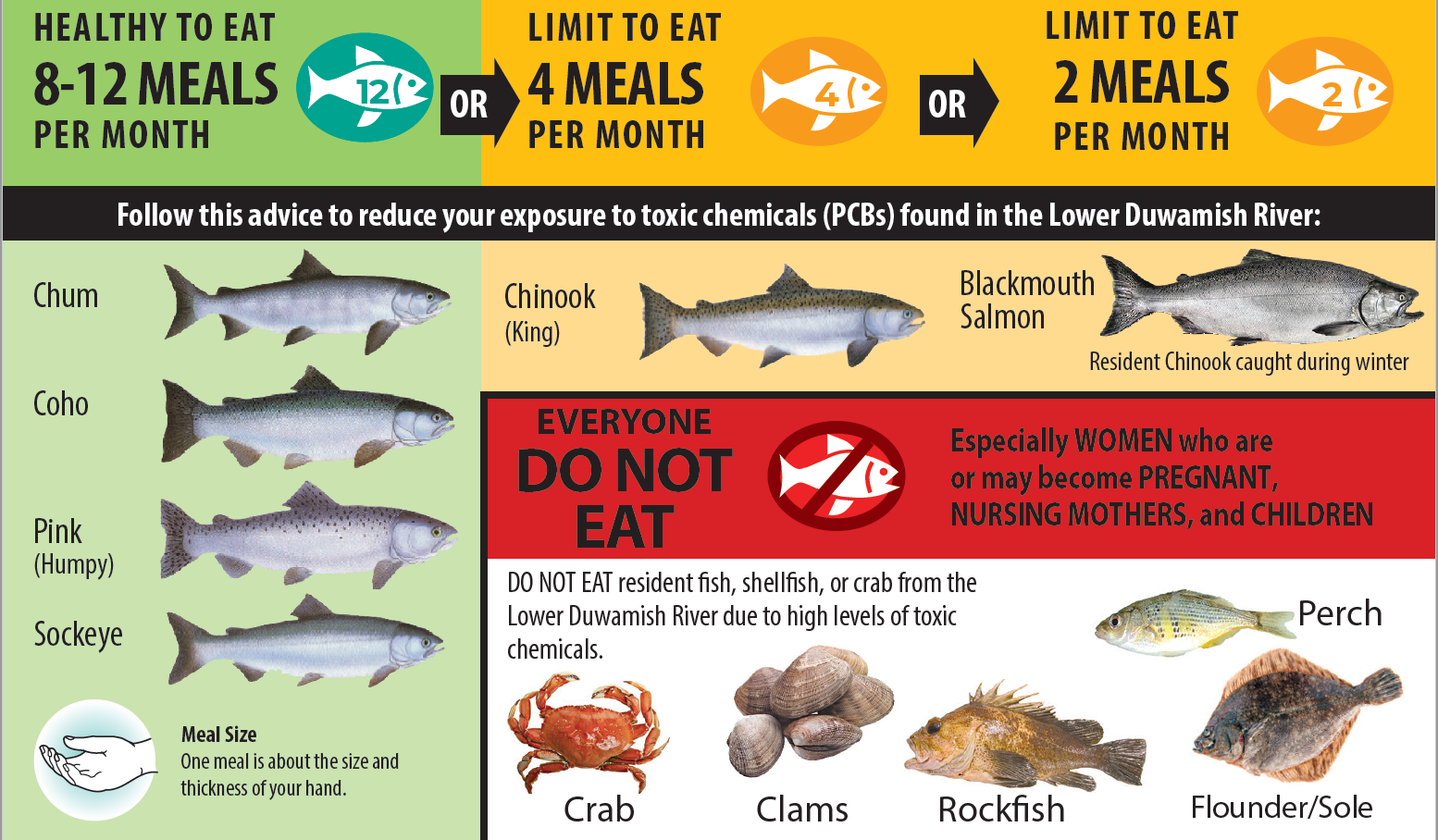 Fish advisory flyer