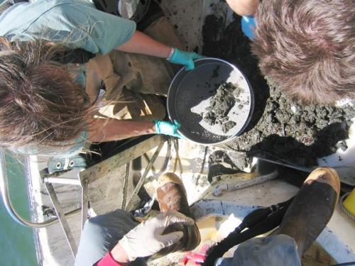 67 Sieving contents of sledge (G3b) Photo 34 